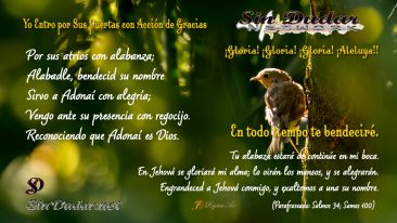 Entrad Por sus puertas con accion de gracias