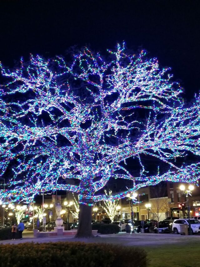 Arbol de Centro de Stamford 2018 Navidad